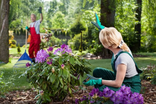 Beautifully cleared garden by Lucas Gardener