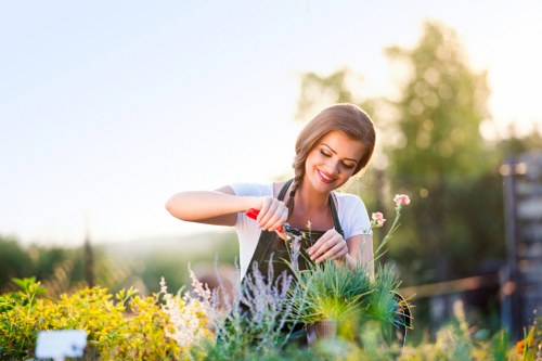 Beautifully landscaped garden in Lucas Gardener