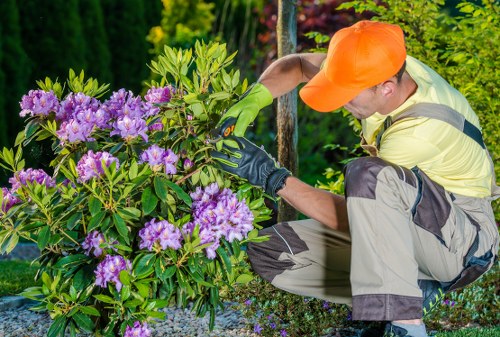 Eco-friendly garden maintenance after clearance