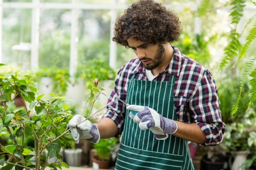 Experienced gardener tending to a lush garden in Menai