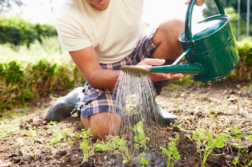 Professional landscape design planning by Lucas Gardener’s gardeners