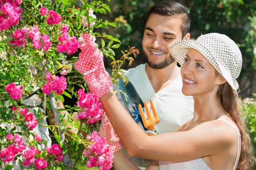 Essential gardening tools laid out for use in Lucas Gardener