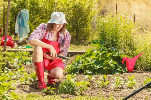 Sustainable gardening practices by Lucas Gardener