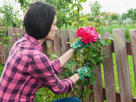 Healthy plants thriving with regular maintenance