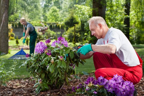 Sustainable gardening practices in a professionally maintained garden