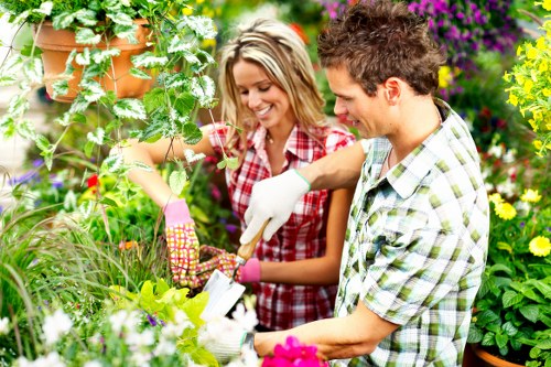 Selection of native plants thriving in Chadstone's climate