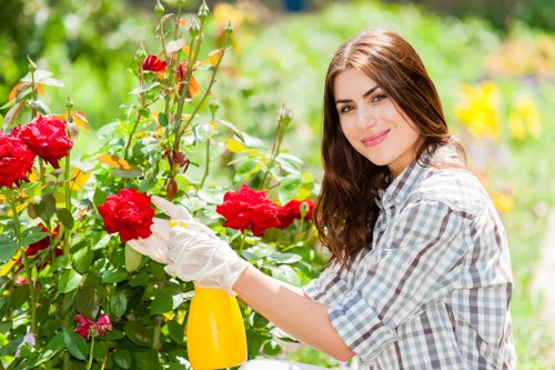 Seasonal garden maintenance activities