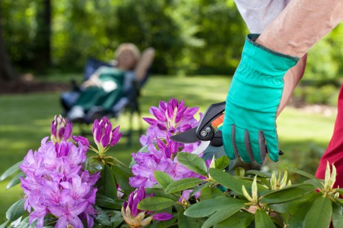 Eco-friendly gardening practices in Oatley