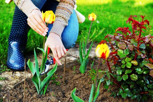 Eco-friendly gardening practices in Lucas Gardener