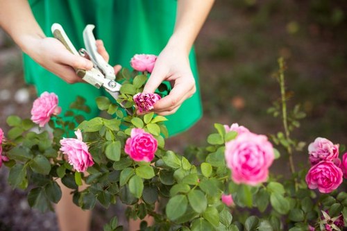 Seasonal gardening activities in Hampton