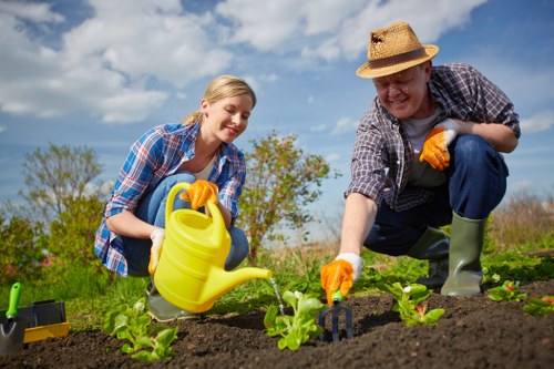 Planting techniques for a thriving Lucas Gardener garden