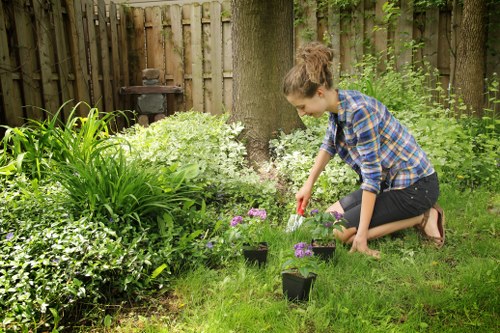 Gardeners maintaining a vibrant lawn in Lucas Gardener