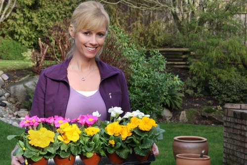 Professional gardener maintaining a lawn